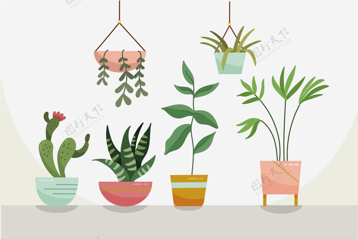 室内植物收集手绘室内植物收藏室内植物收集包装绿化