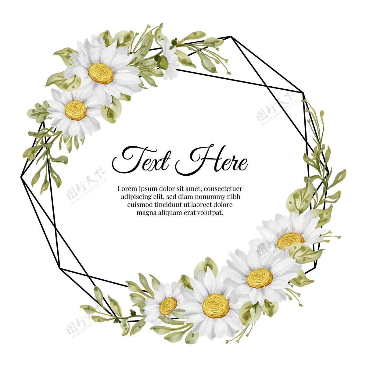 公告美丽的花框架与优雅的白色雏菊花卡玫瑰花叶