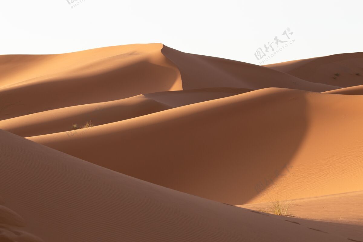 旅游在一个阳光明媚的日子里 沙漠地区沙丘的美丽景色荒野自然炎热