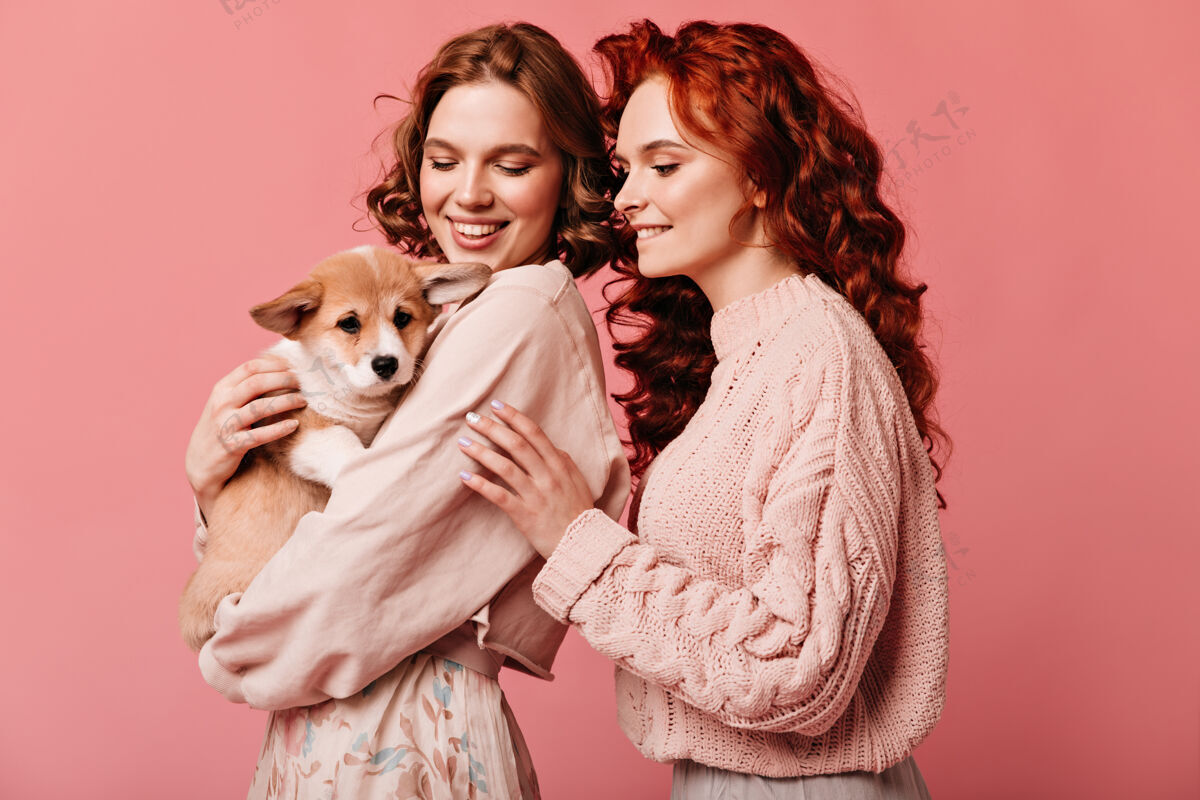 粉色摄影棚拍摄的快乐女孩玩可爱的狗笑高加索妇女与宠物在粉红色的背景拥抱时尚年轻人