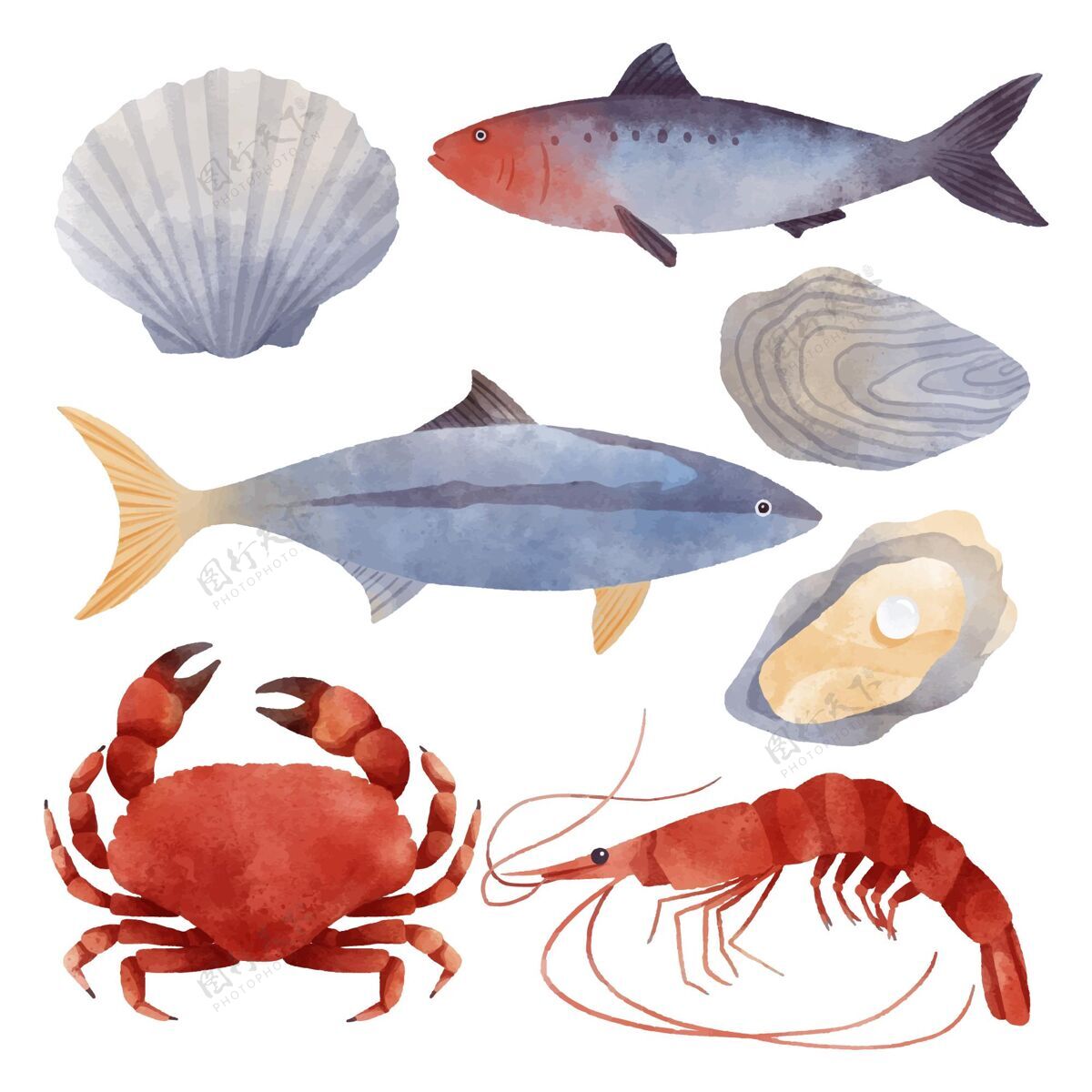 绘画水彩海洋生物收藏套装海洋元素
