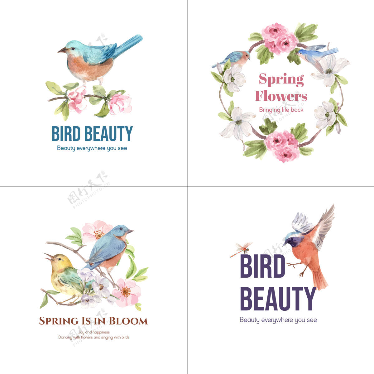 季节标志设计与鸟类和春天的概念自然植物野生