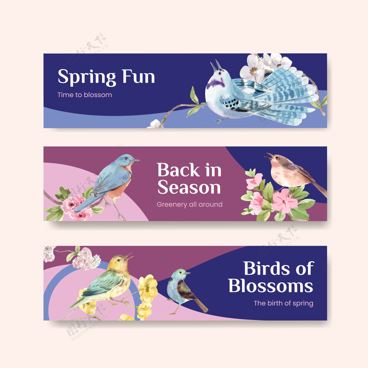 模板横幅模板与春天和鸟的广告和营销水彩插图的概念设计树枝植物开花