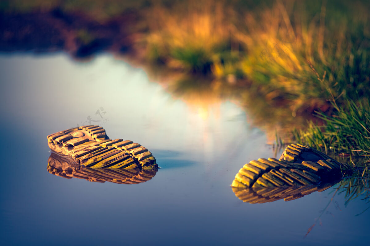 水两双鞋在水里池塘阳光死