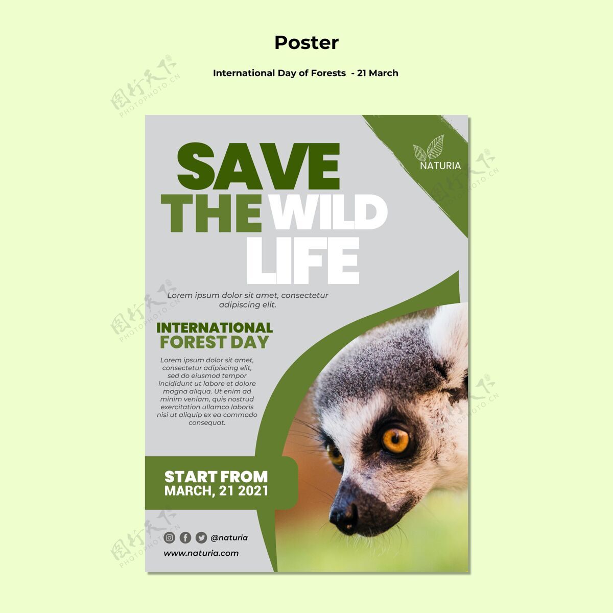 环境国际森林日海报生态国际模板