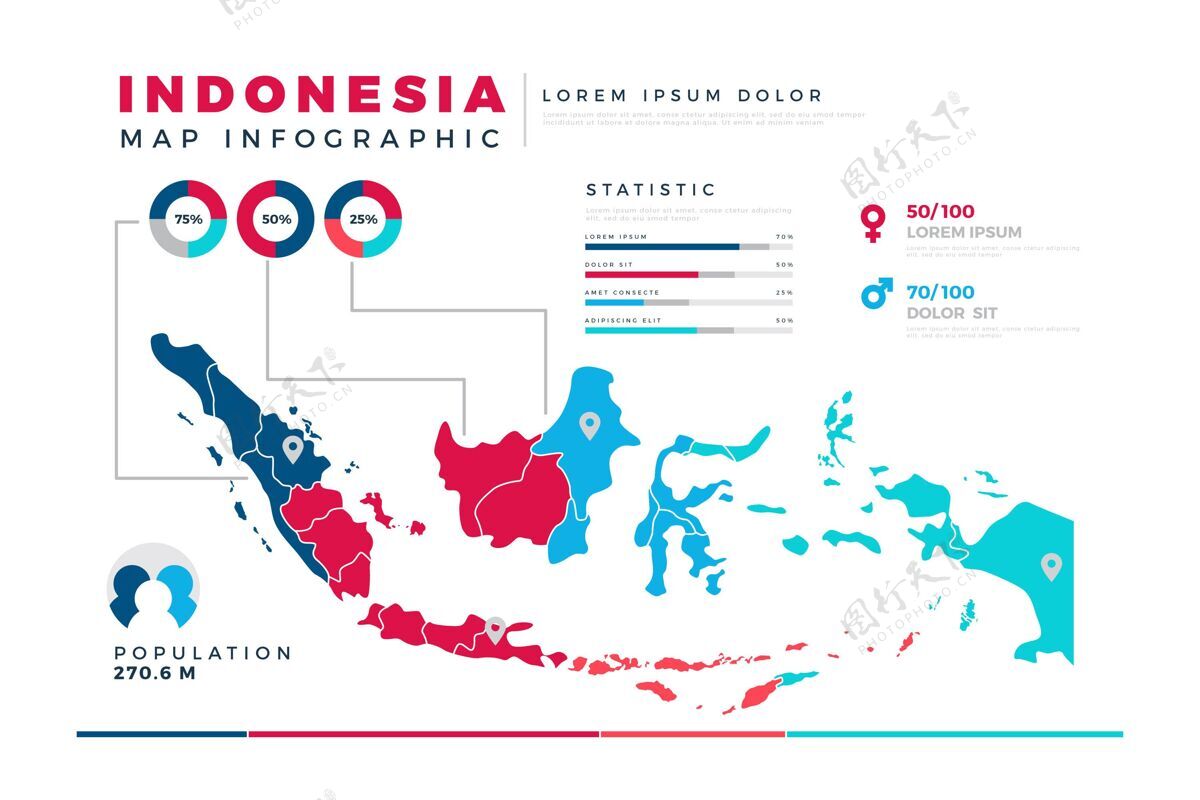 国家平面印尼地图信息图分析平面设计平面