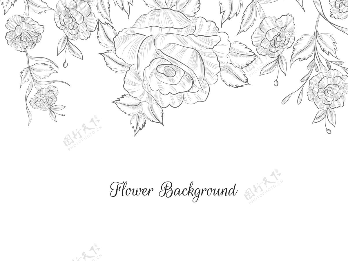 叶子平面设计手绘花卉素描背景向量花花背景