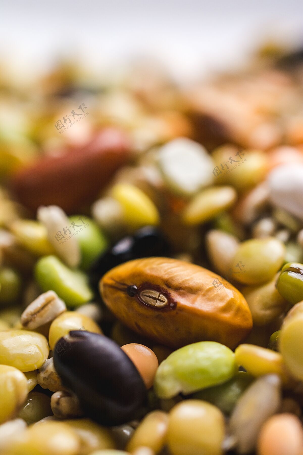 颜色混合豆垂直选择性聚焦拍摄零食有机饮食