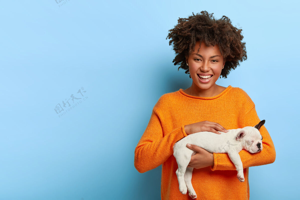 家庭开朗的非洲女人爱抚她最喜欢的狗 喜欢家畜 抱着小血统的斗牛犬 想把动物送给朋友 穿着橙色的套头衫高兴斗牛犬在一起