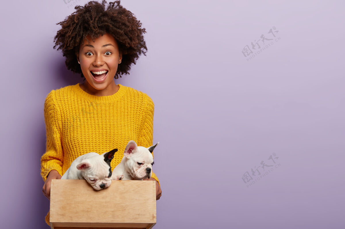 积极宠物护理概念快乐的黑皮肤女主人抱着她的小狗在小木箱里 准备把它们交给右手 高兴的狗家庭成长 穿着黄色毛衣友谊伴侣美国