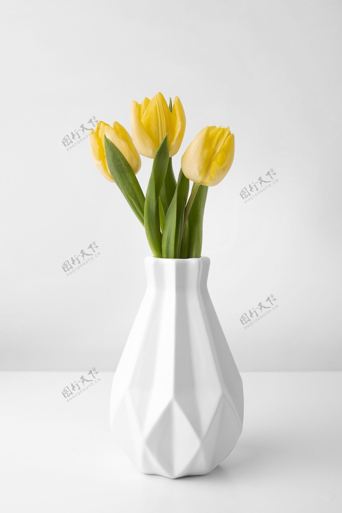 花桌上放着郁金香的花瓶花瓶花瓣春天的花