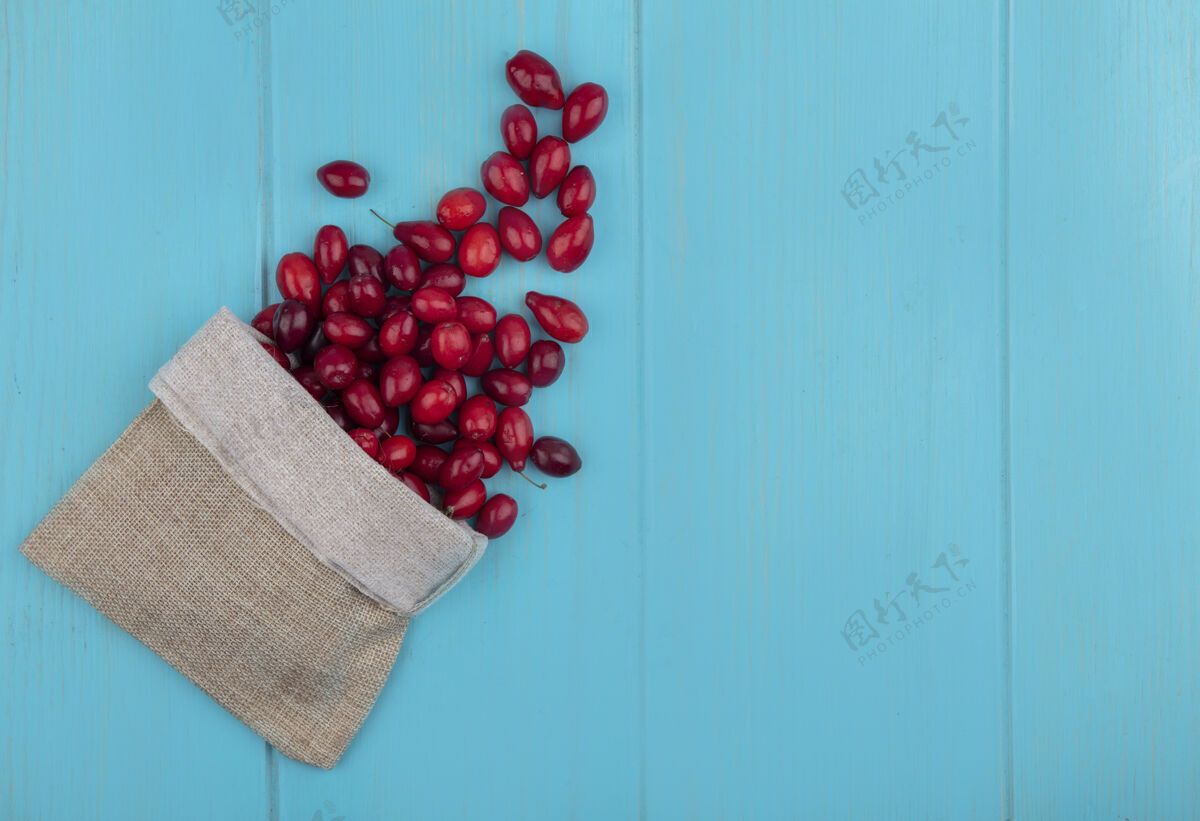 空格新鲜的红色山茱萸浆果从粗麻布袋里掉出来的俯视图 背景是蓝色的木制 有复印空间浆果粗麻布顶部
