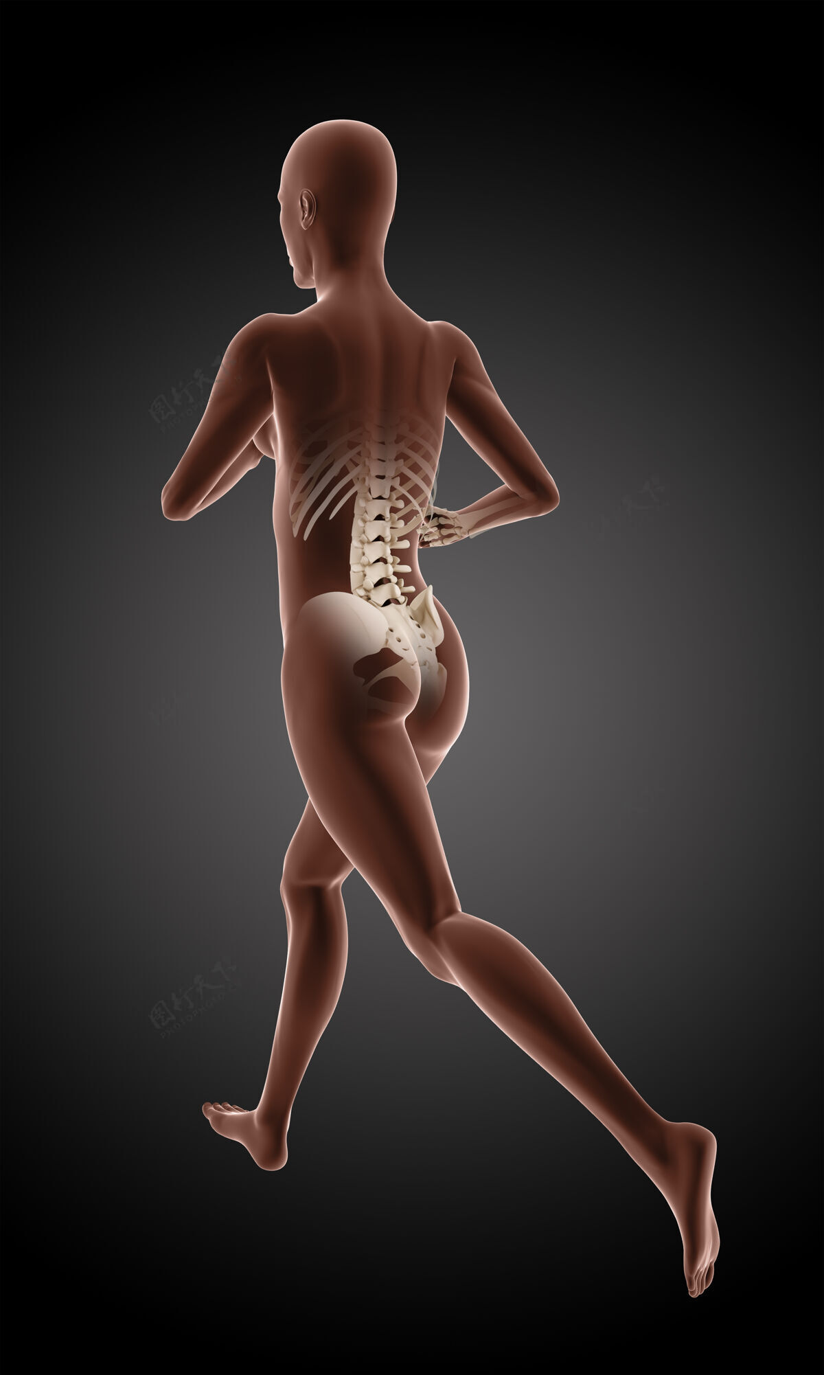 人体三维渲染的女性医疗骨架运行背痛生物学X光