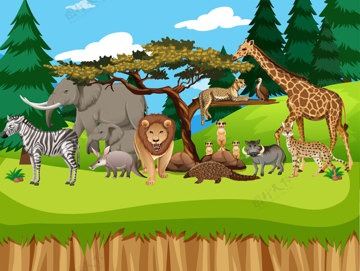 树动物园里一群非洲野生动物的场景丛林捕食者活着的
