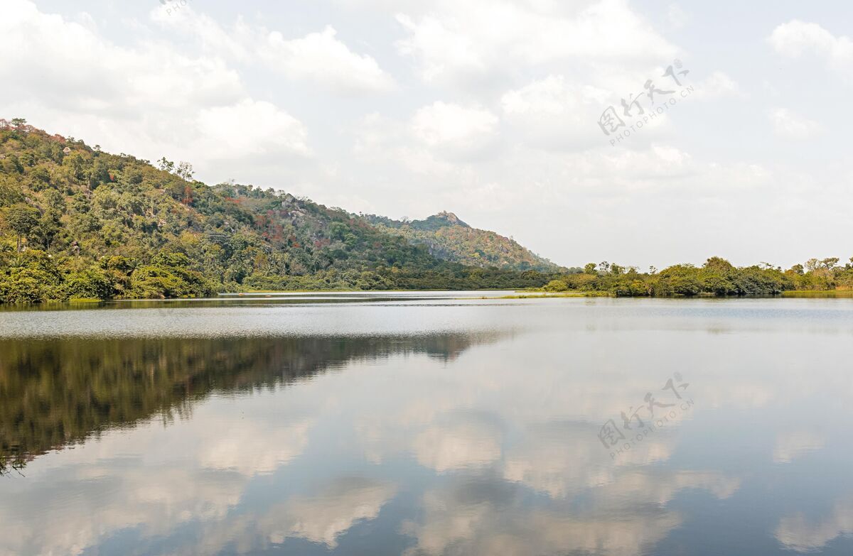 大自然母亲有树木和湖泊的非洲自然景观树木场景远景