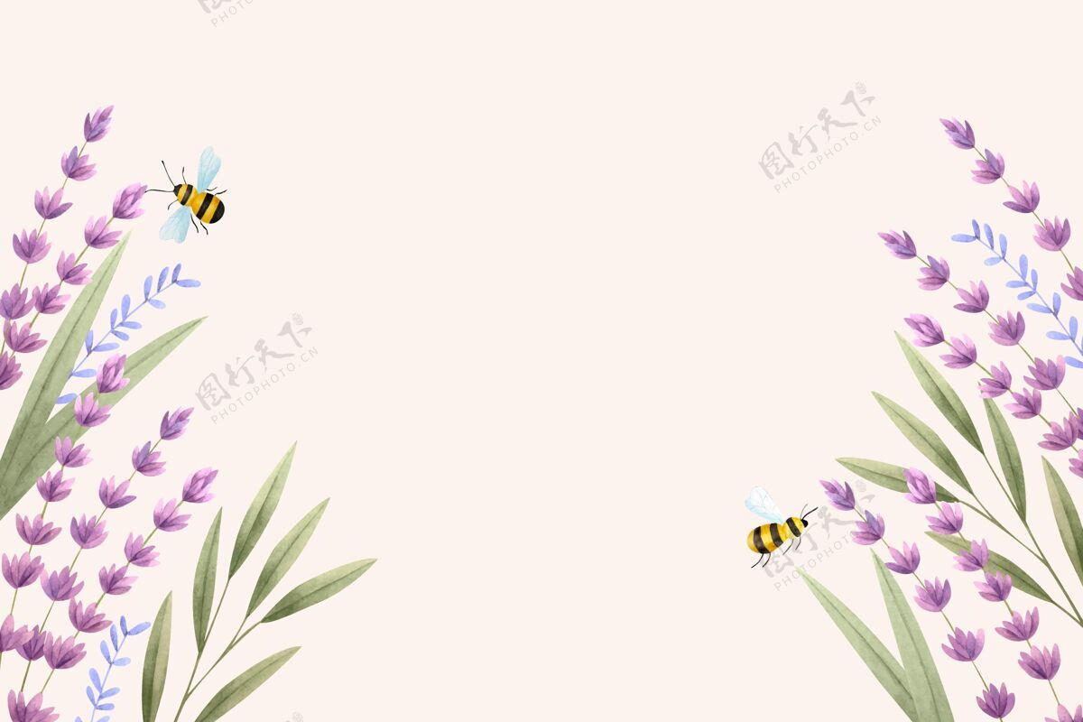 花卉复制空间春天的背景和蜜蜂植物花卉开花