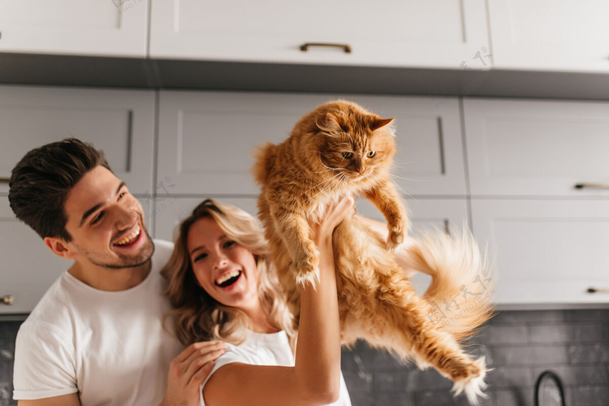 动物兴奋的夫妇与毛茸茸的猫合影微笑可爱的女人在厨房抱着她的宠物的室内肖像男性一起厨房