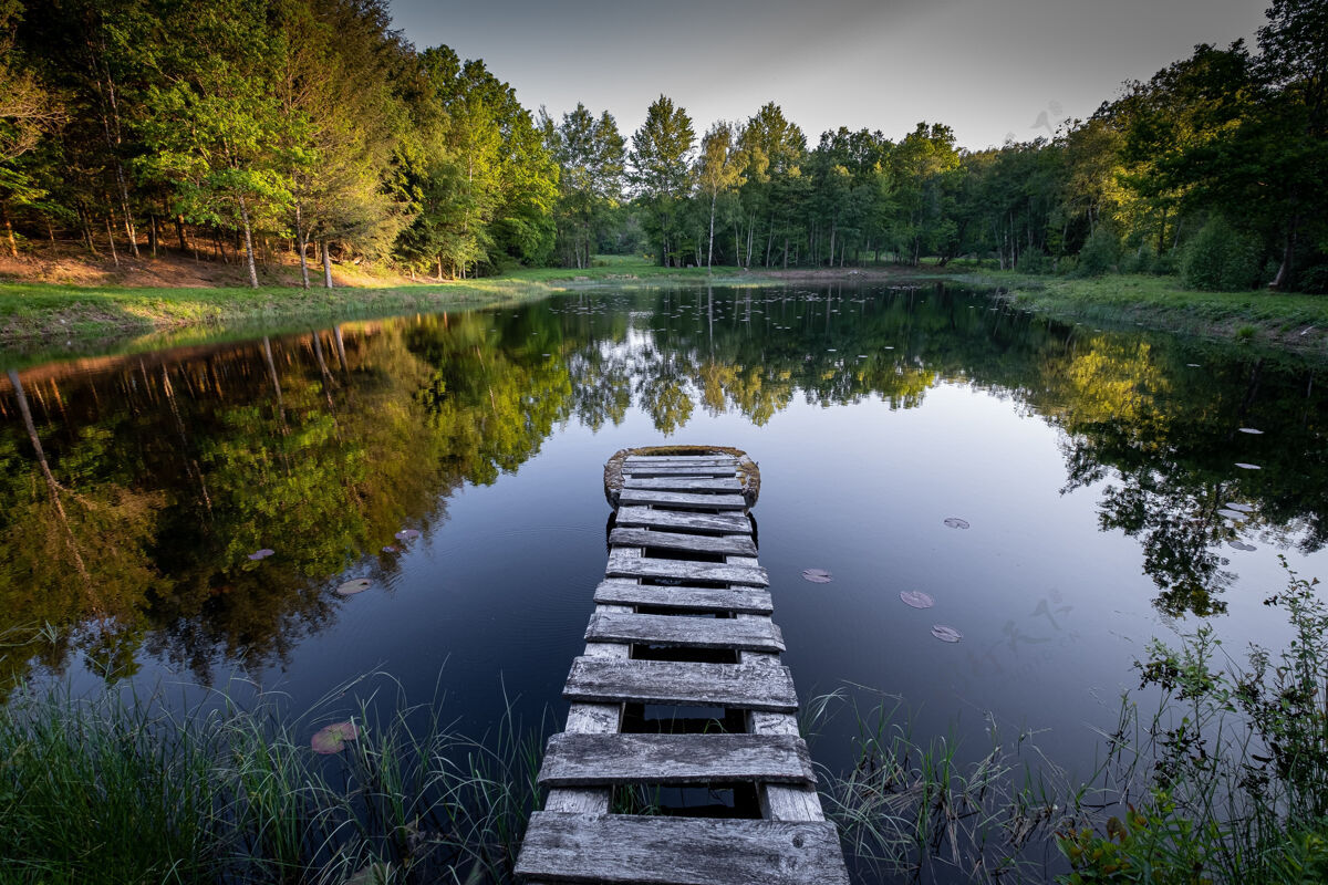 水美丽的景色在秋天的颜色反映在一个木制木板路湖木板路湖泊宁静