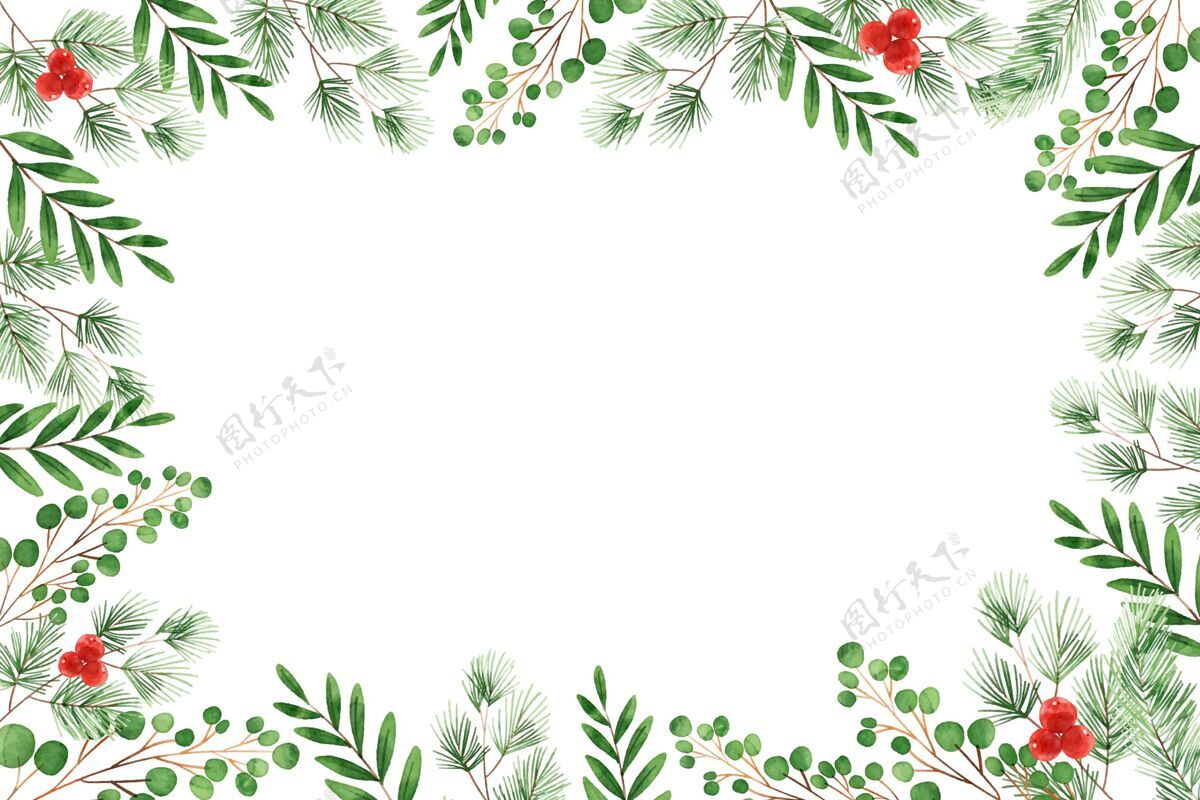 装饰品水彩圣诞树枝背景树枝花卉花环