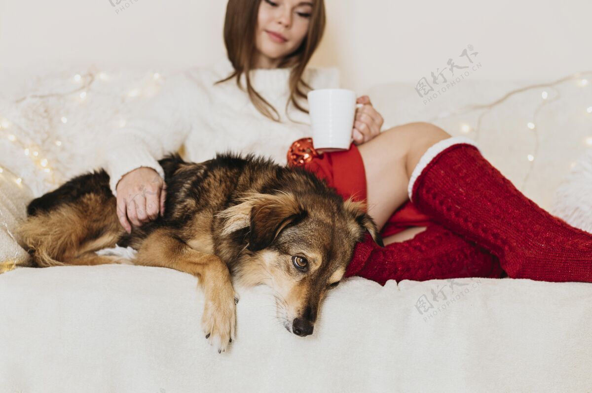 舒适家里坐在狗旁边的女人季节假日舒适