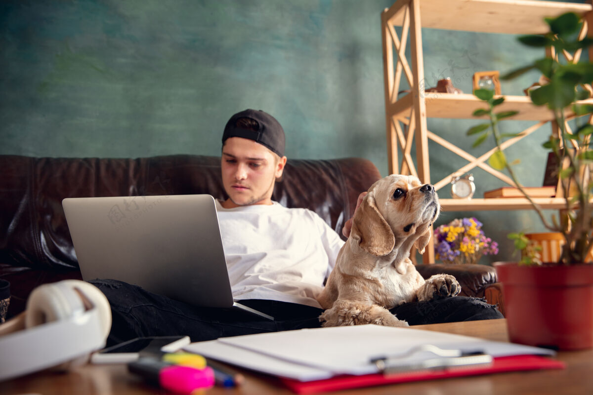 学习年轻帅哥坐在棕色沙发上和他的可爱的狗一起工作漂亮沟通一起