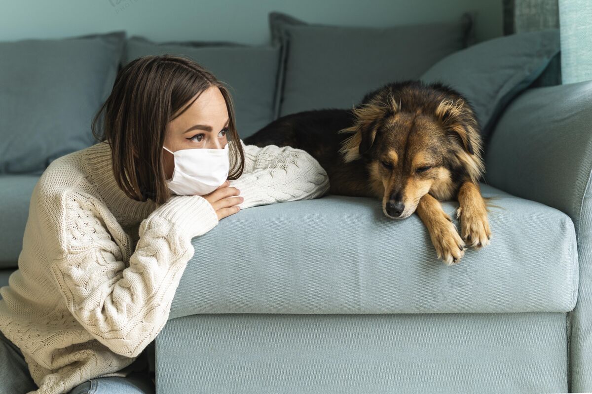 社会大流行期间 一个女人坐在家里的狗旁边宠物狗医学
