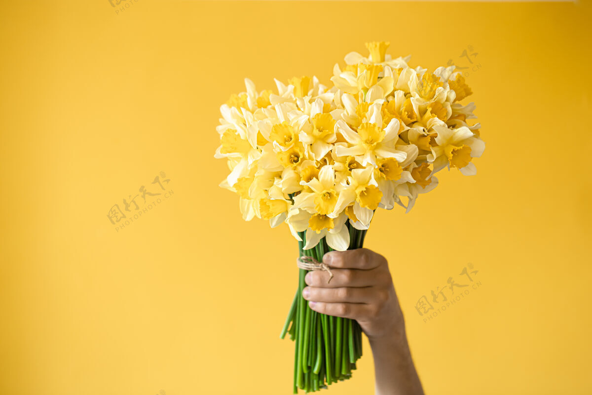 明亮雄性手上拿着一束黄色的水仙花浪漫节日手