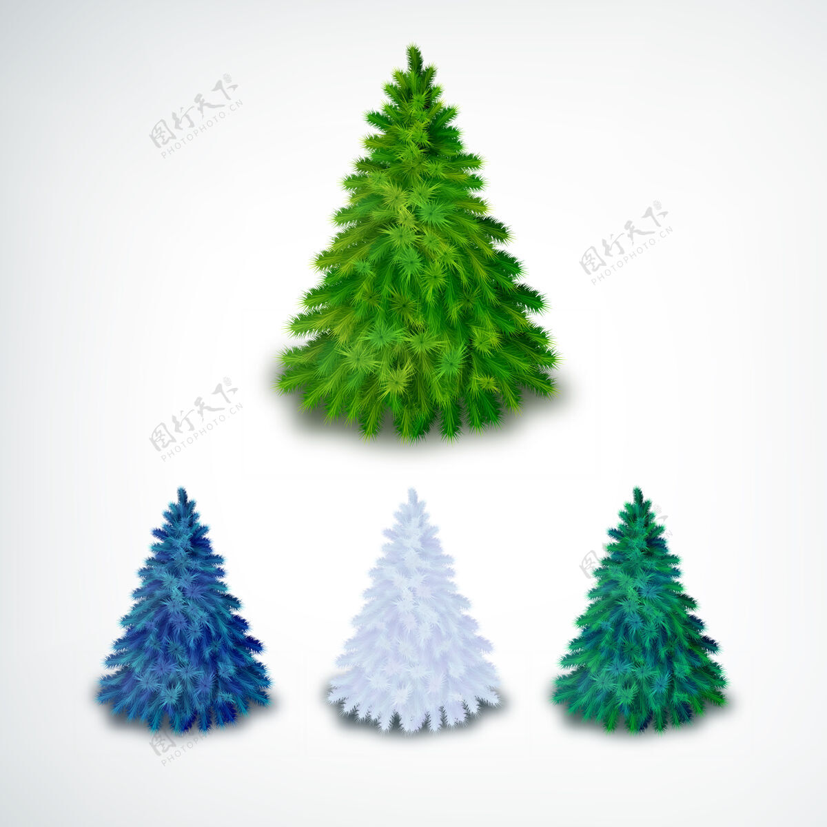 节日现实的针叶圣诞树集不同颜色的白色常绿杉木雪