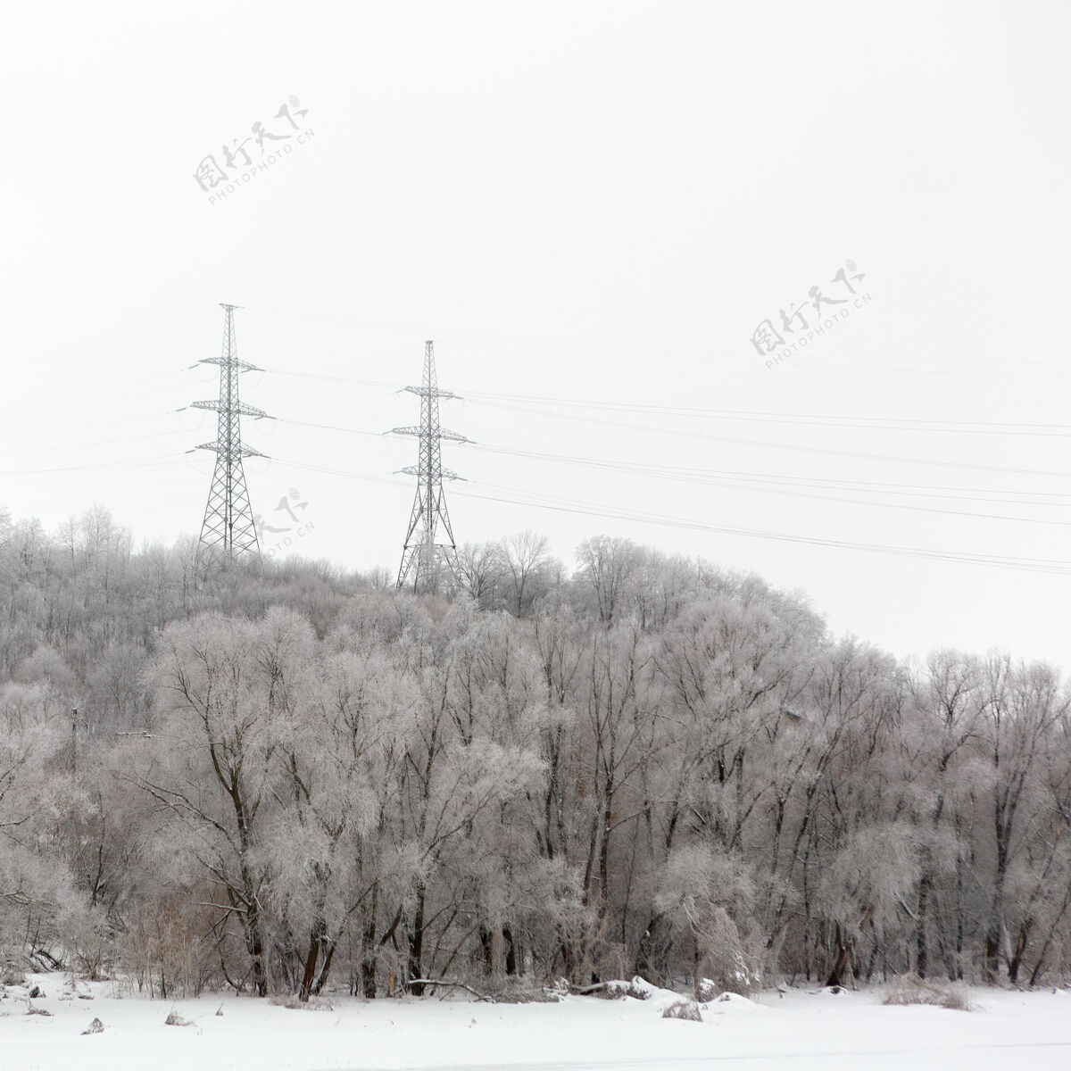 霜冻柱子高压电线在森林里冬季风景在俄罗斯自然柱子寒冷