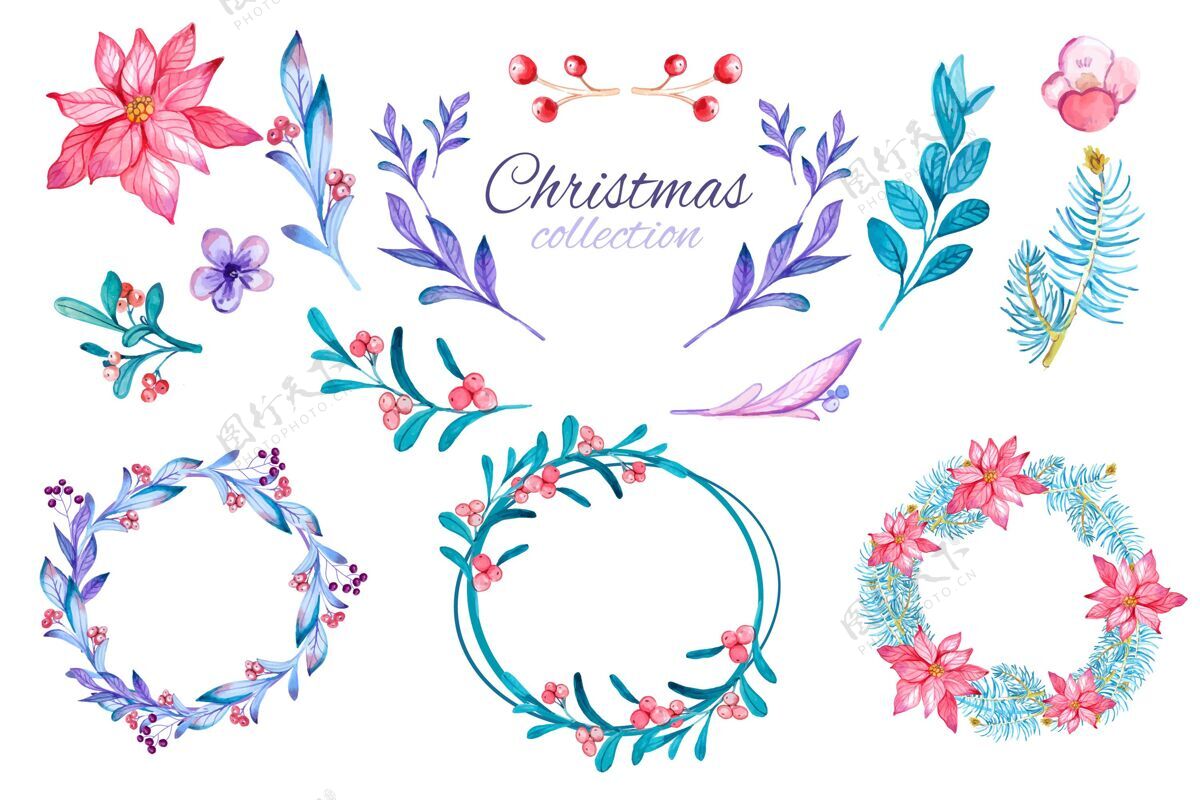 季节水彩圣诞花和花环收集圣诞节圣诞花圈快乐